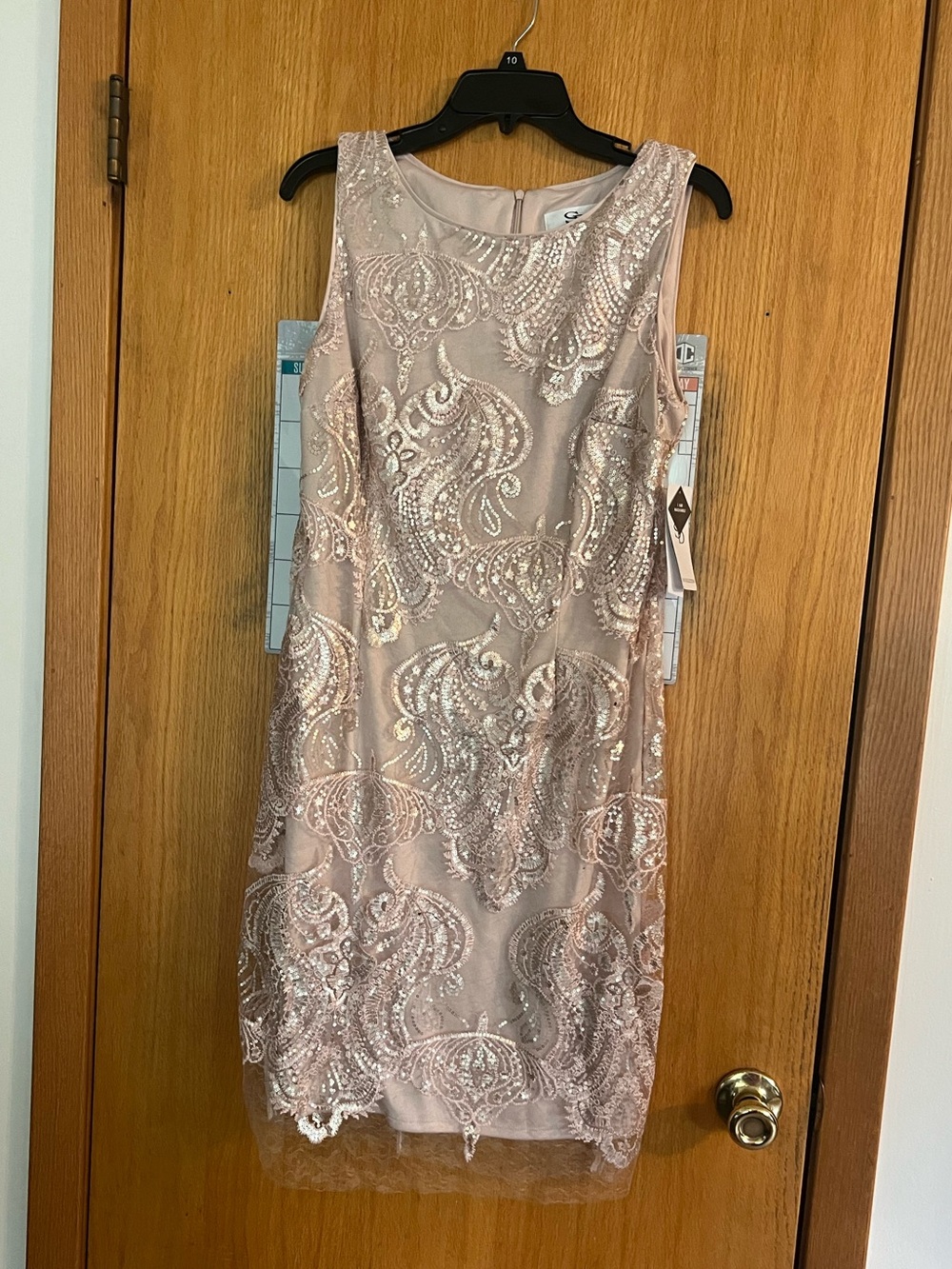 SD Collection Sleeveless Sequin Dress in Blush